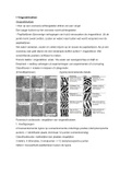 Samenvatting Forensisch onderzoek NLT VWO