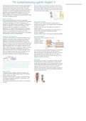 Neuronal networks and behaviour summary somatosensory systems