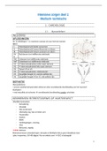 Samenvatting  4V intensieve zorgen