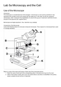 Microscope Laboratory Notes for Bio