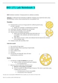 BIO 171 Lab Notebook 5 Questions Verified With 100% Correct Answers