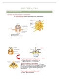 Samenvatting biologie les 4