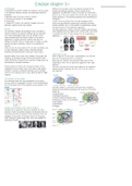 Neuronal networks and behaviour summary emotions