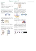 Neuronal networks and behaviour summary cognition