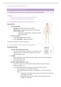 Samenvatting - Neuroanatomie