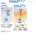 Cell Biology Notes 