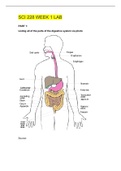 SCI 228 WEEK 1 LAB