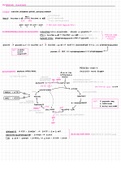 MCAT Bioenergetics and Metabolism