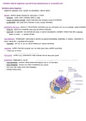 MCAT Membrane-Bound Organelles and Eukaryotic Cells