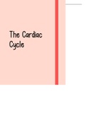 The Cardiac Cycle