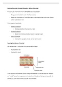 Resting Potential, Graded Potential, Action Potential 