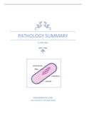 Lecture Notes Pathology Exam 1 