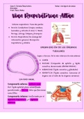 Histología Vías Respiratorias Altas: Cavidad Nasal, Laringe 