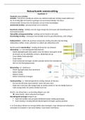 Samenvatting Hoofdstuk 13 Straling Natuurkunde 5VWO pulsar