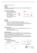 Uitgebreide uitleg hybridisatie (Celbiologie module 1)