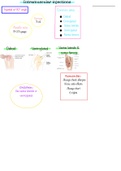 Intramuscular injections