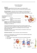 Biologie samenvatting Hoofdstuk 14 waarnemen 5vwo Nectar