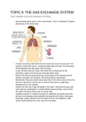 Summary Unit 9- Gas Exchange (9700) Biology