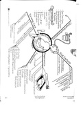 Inflammation and Infection