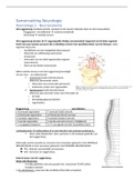 Neuroanatomie - Dwarslaesie theorie