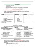 Samenvatting  Pediatrische zorg - endocrinologie 