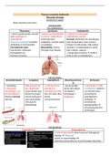 Samenvatting  Verpleegkundige Zorg - thoraco-vasculaire heelkunde 