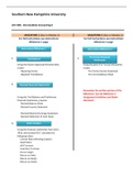 Southern New Hampshire University ACC 308 Final Project 2023 Submission with compete solution