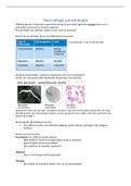 Samenvatting van alle hoorcolleges en het boek Microbiology + responsiecollege's 