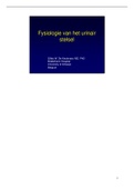 Samenvatting orgaanfysiologie en pathofysiologie II: de nier (16/20 1e zit) 