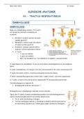 Samenvatting klinische anatomie 