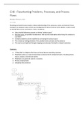 Flowcharting Problems, Processes, and Process Flows