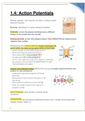 Portage Learning BIOD 152 1.4: Action Potentials notes graded A+