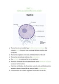 Summary Life Sciences, DNA and RNA the code of life Grade 12 IEB