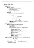 Samenvatting  Microeconomics - Industrial Organization  (EBB067A05)