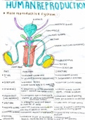 Life Sciences Grade 12 Reproduction Simple, Easy and Concise Summary