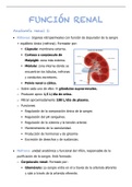 Función renal desde el punto de vista del tecnico especialista de laboratorio.