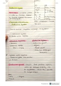 Endocrine System