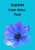 BSW3704 - Cram Pack