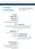 NR 667 Week 5 Assignment; Grand Rounds Presentation; Infographic - Iron Deficiency Anemia