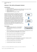 CHEM 120 e xam Unit 7 Labstudy guide (NEW EXAM COPY 2022 ) QUESTIONS AND ANSWERS 100% PASSED Chamberlain College of Nursing