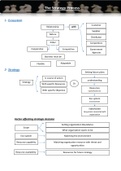 E-3 Strategy Process-CIMA