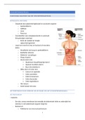 samenvatting spijsverteringsstel 