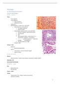 ovv: histologie