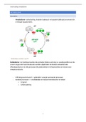 samenvatting metabolisme 