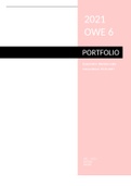 OWE 6: Portfolio Wijkanalyse