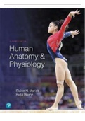 Mariebs Test Bank for Human Anatomy  And Physiology 11th Edition Upgraded