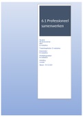 Module 6, 6.1 professioneel samenwerken