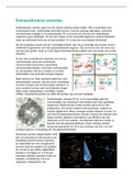 Hoorcollege MCR Extracellulaire Vesicles - Frederik Verweij