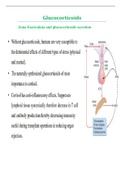 Glucocorticoids hormone 