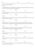 Strategic Management chapter 10 exam questions and answers